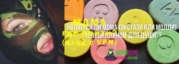 гашик Алексеевка