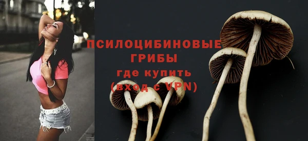 спиды Алексин