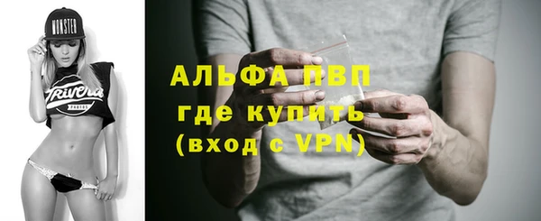 дживик Переславль-Залесский