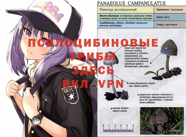дживик Переславль-Залесский
