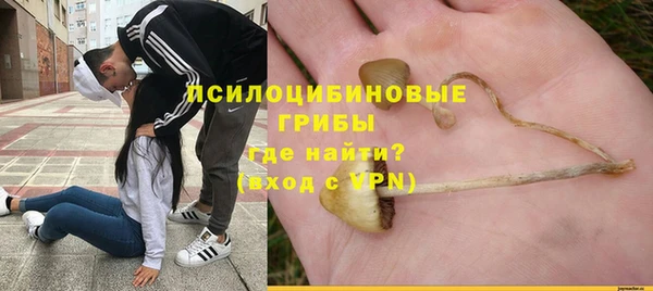спиды Алексин