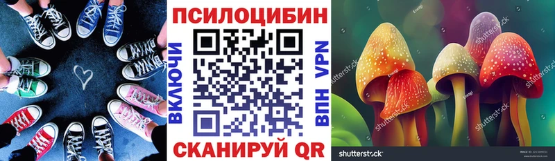 KRAKEN ТОР  Анадырь  Псилоцибиновые грибы GOLDEN TEACHER 