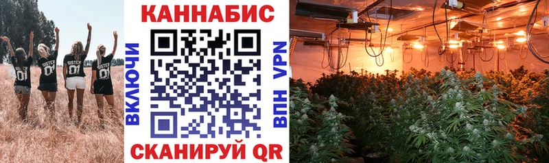 купить  сайты  Анадырь  Бошки марихуана White Widow 